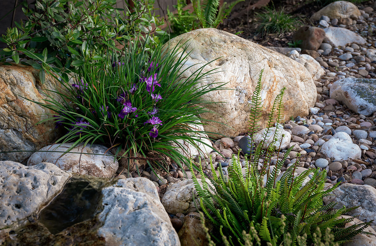 About Us - Sarah Herman Landscape Design