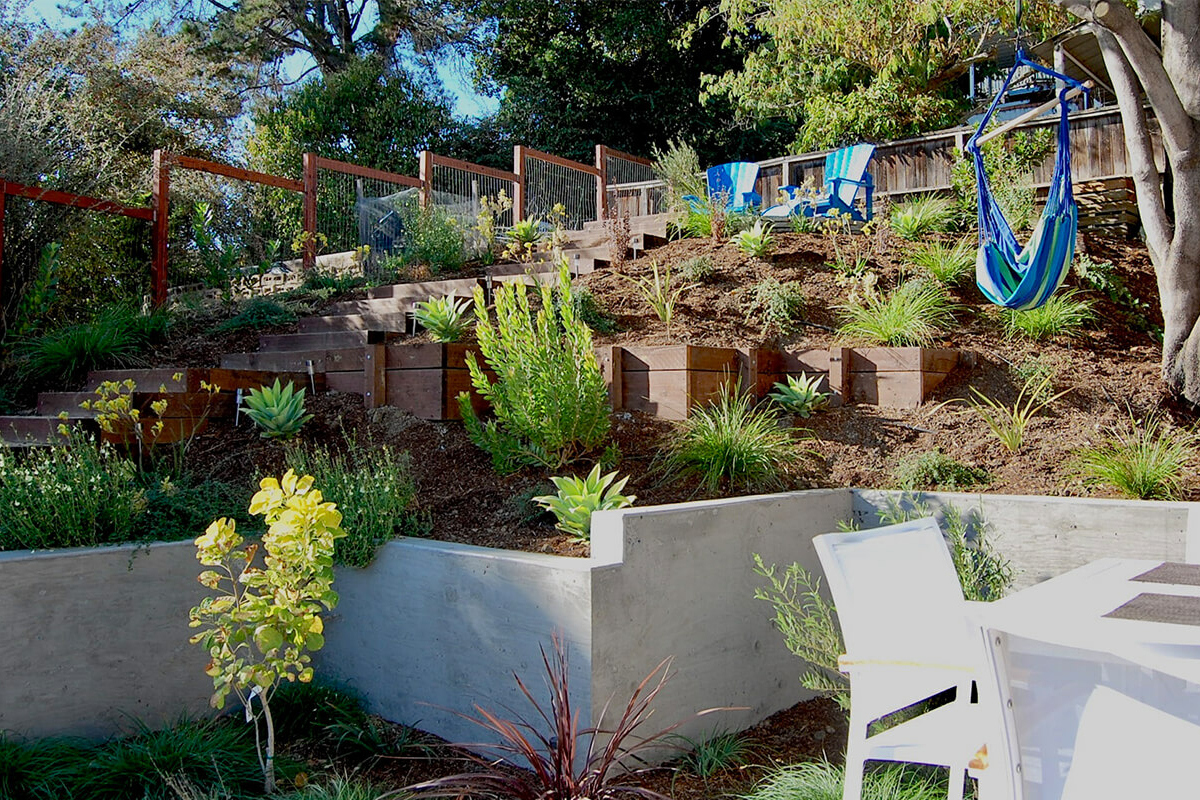 Oakland Vista Sarah Herman Landscape Design 